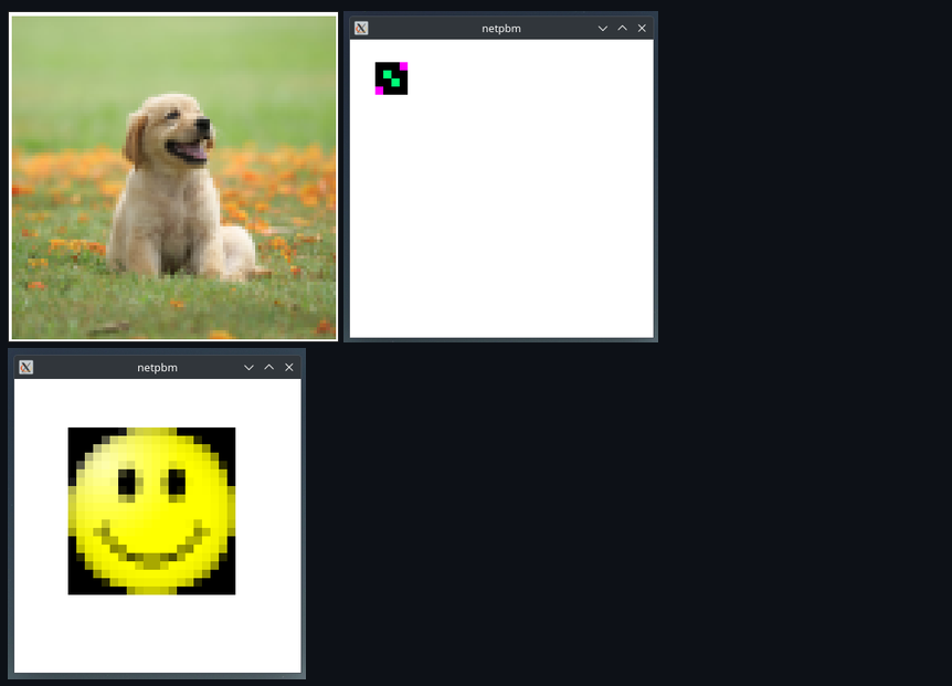 example parsed files